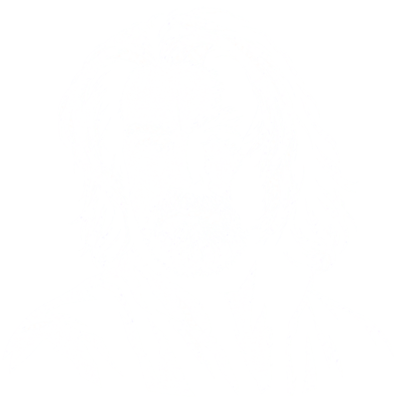 Lee Sturgis